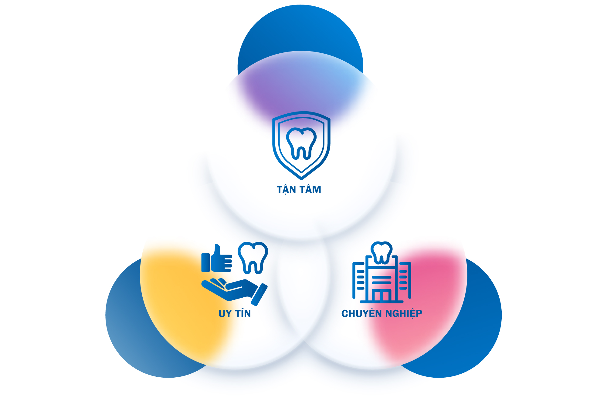 Tầm nhìn Tầm nhìn